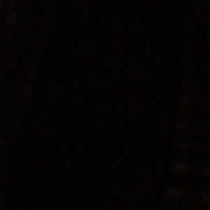 Meet your Posher, Deena